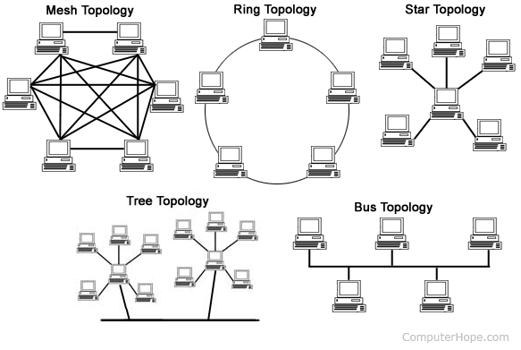Networks Topology