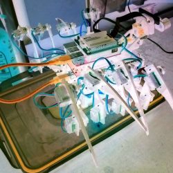 Project 2019 – Spider Robot
