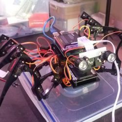 Big projects at Dim Sum Labs for 2019